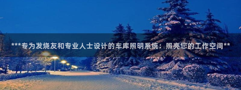 ***专为发烧友和专业人士设计的车库照明系统：照亮您的工作空间**
