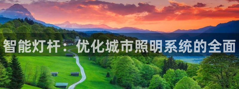 智能灯杆：优化城市照明系统的全面