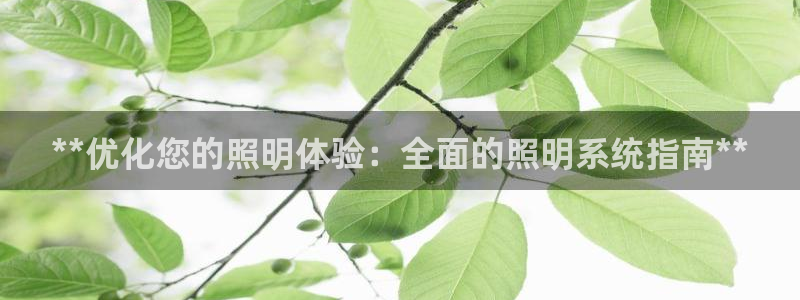 **优化您的照明体验：全面的照明系统指南**