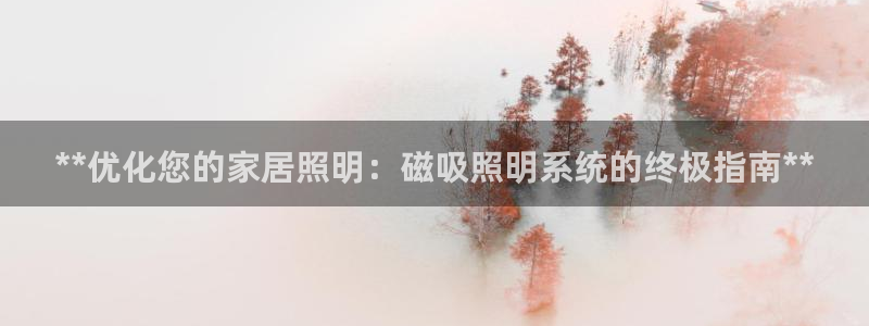 **优化您的家居照明：磁吸照明系统的终极指南**
