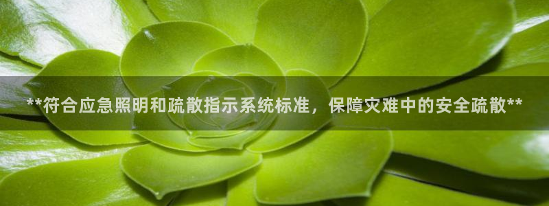 **符合应急照明和疏散指示系统标准，保障灾难中的安全疏散**
