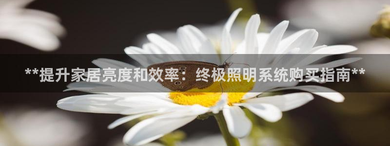 **提升家居亮度和效率：终极照明系统购买指南**