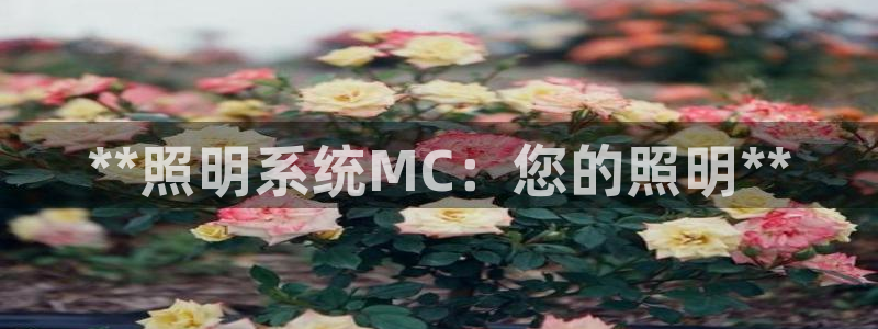 **照明系统MC：您的照明**