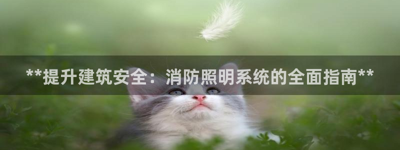 **提升建筑安全：消防照明系统的全面指南**