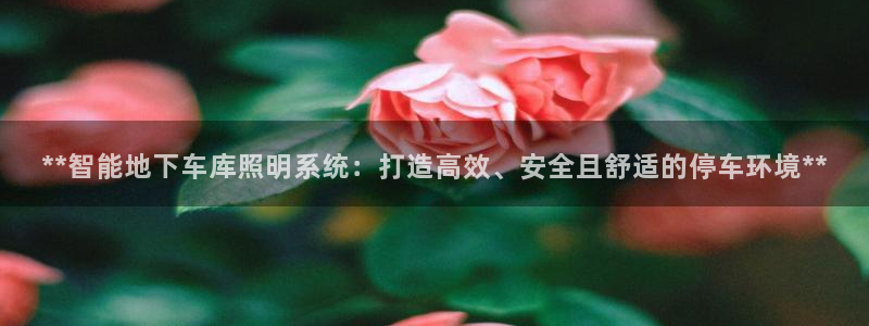 **智能地下车库照明系统:打造高效、安全且舒适的停车环境**