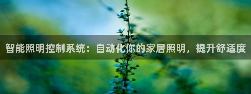 智能照明控制系统：自动化你的家居照明，提升舒适度