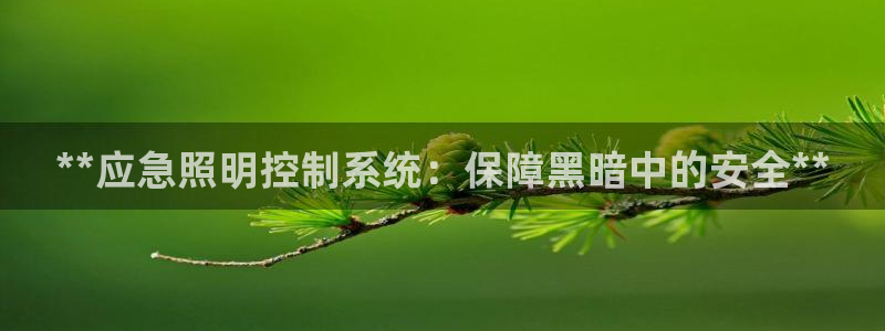 **应急照明控制系统：保障黑暗中的安全**