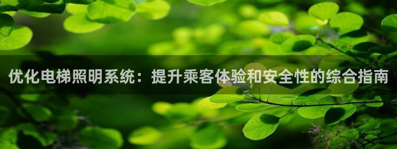 优化电梯照明系统:提升乘客体验和安全性的综合指南