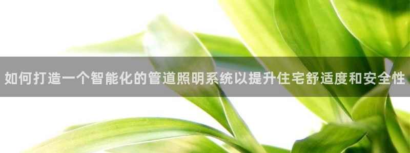 如何打造一个智能化的管道照明系统以提升住宅舒适度和安全性