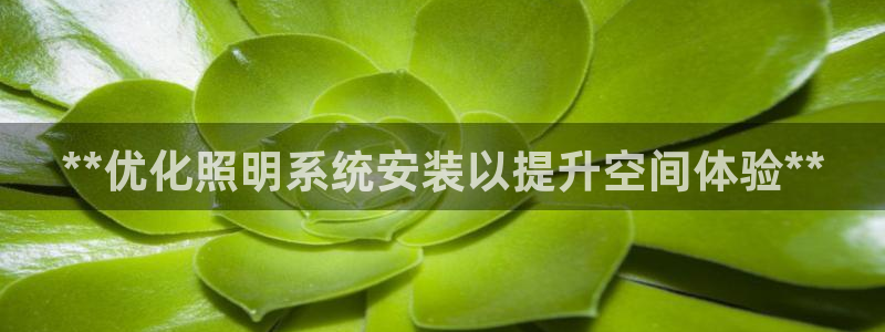**优化照明系统安装以提升空间体验**