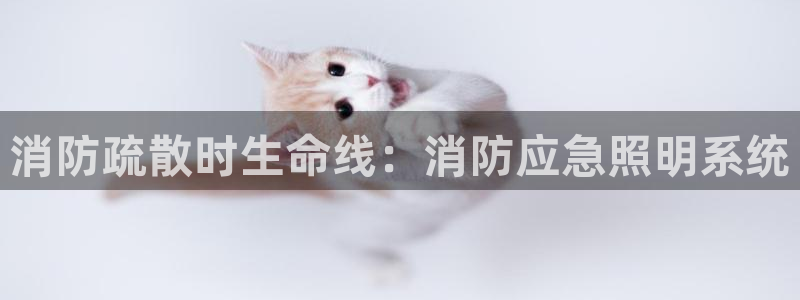 消防疏散时生命线：消防应急照明系统