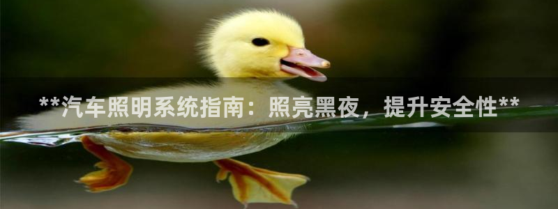 **汽车照明系统指南：照亮黑夜，提升安全性**