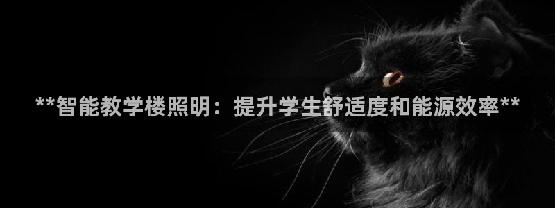 **智能教学楼照明：提升学生舒适度和能源效率**