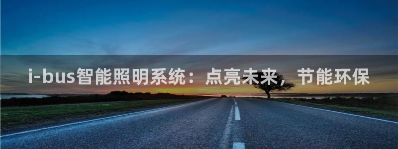 i-bus智能照明系统：点亮未来，节能环保