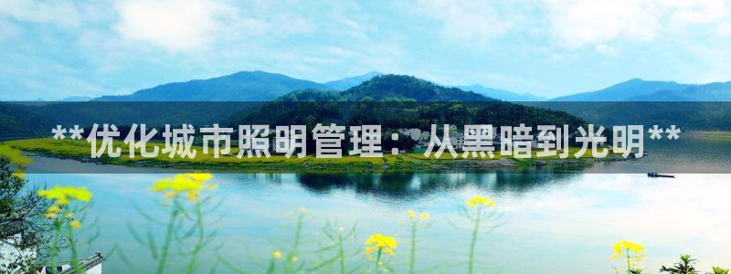 **优化城市照明管理：从黑暗到光明**