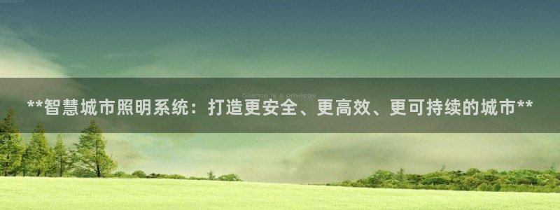 **智慧城市照明系统：打造更安全、更高效、更可持续的城市**