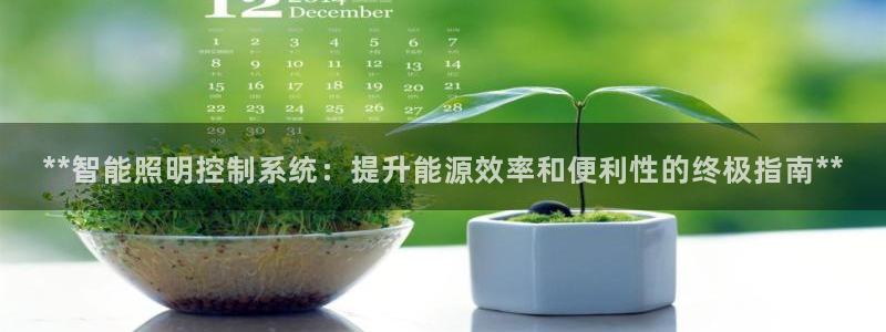 **智能照明控制系统：提升能源效率和便利性的终极指南**