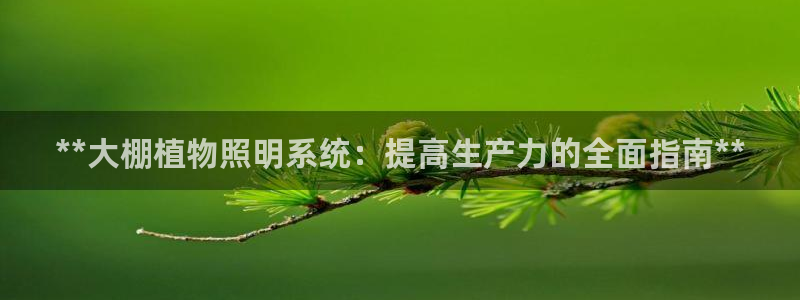 **大棚植物照明系统：提高生产力的全面指南**