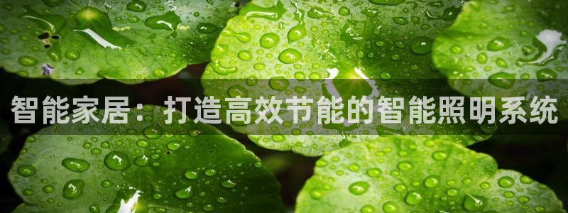 智能家居：打造高效节能的智能照明系统