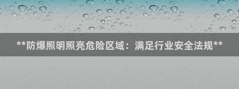 **防爆照明照亮危险区域：满足行业安全法