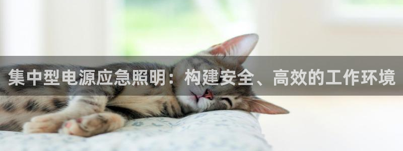 集中型电源应急照明：构建安全、高效的工作环境