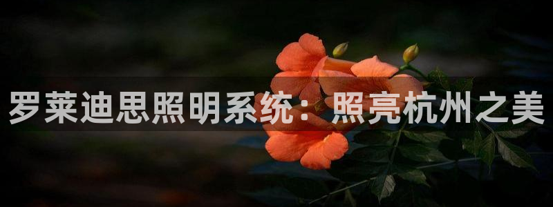 罗莱迪思照明系统：照亮杭州之美
