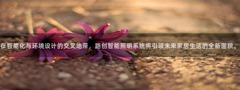 在智能化与环境设计的交叉地带,路创智能照明系统将引领未来家居生活的全新面貌。