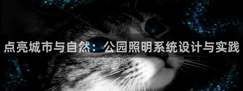 点亮城市与自然:公园照明系统设计与实践