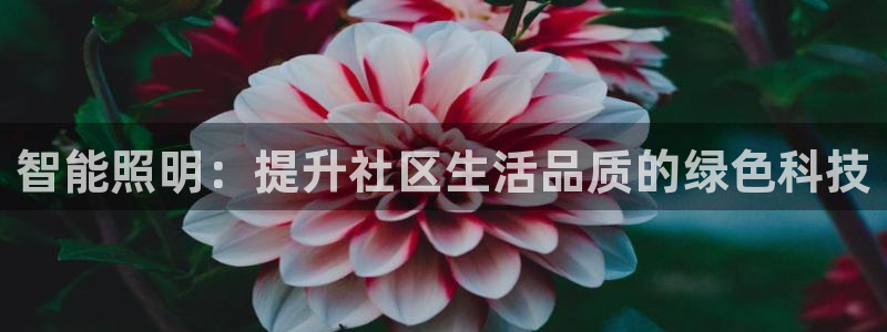 智能照明：提升社区生活品质的绿色科技