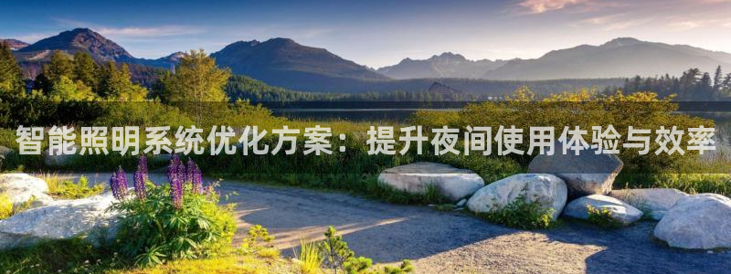 智能照明系统优化方案：提升夜间使用体验与