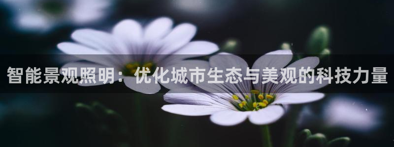 智能景观照明:优化城市生态与美观的科技力量