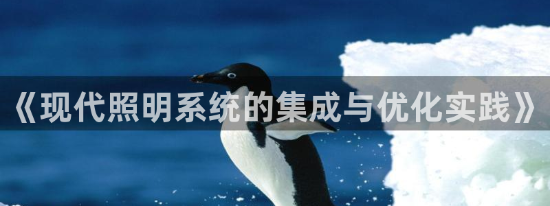《现代照明系统的集成与优化实践》