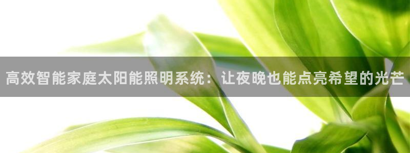 高效智能家庭太阳能照明系统：让夜晚也能点亮希望的光芒