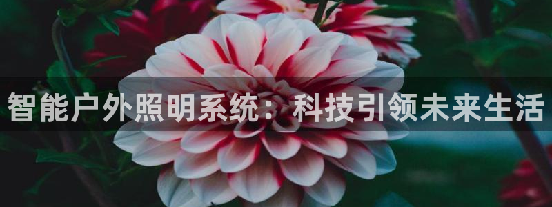 智能户外照明系统：科技引领未来生活