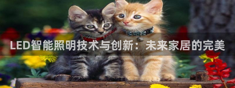 LED智能照明技术与创新：未来家居的完美
