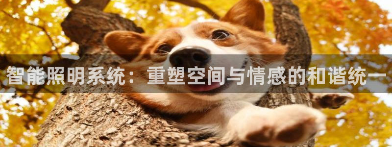 智能照明系统：重塑空间与情感的和谐统一
