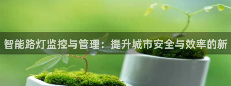 智能路灯监控与管理：提升城市安全与效率的新
