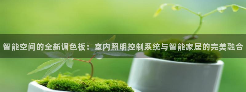 智能空间的全新调色板：室内照明控制系统与