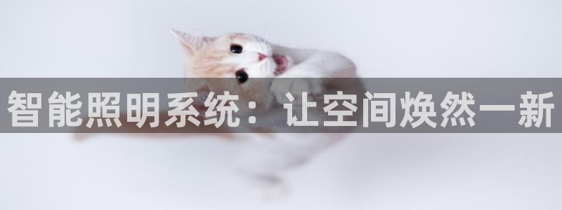 智能照明系统：让空间焕然一新