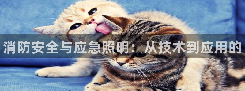 消防安全与应急照明：从技术到应用的