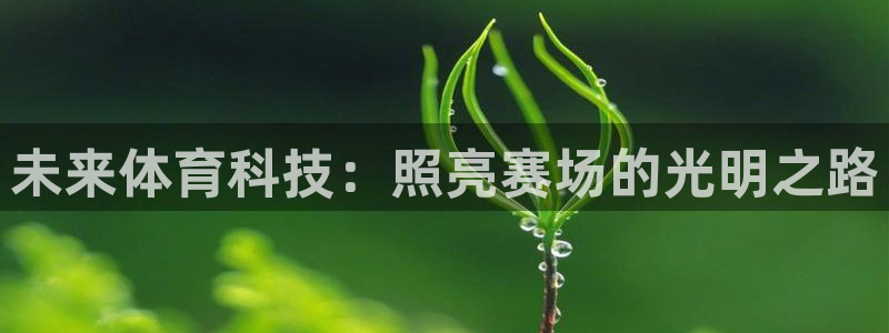 未来体育科技：照亮赛场的光明之路