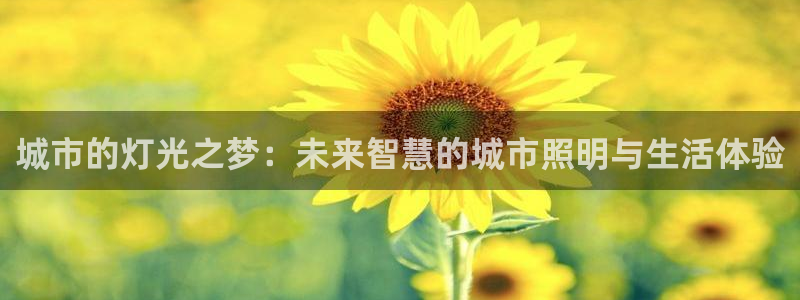 城市的灯光之梦：未来智慧的城市照明与生活